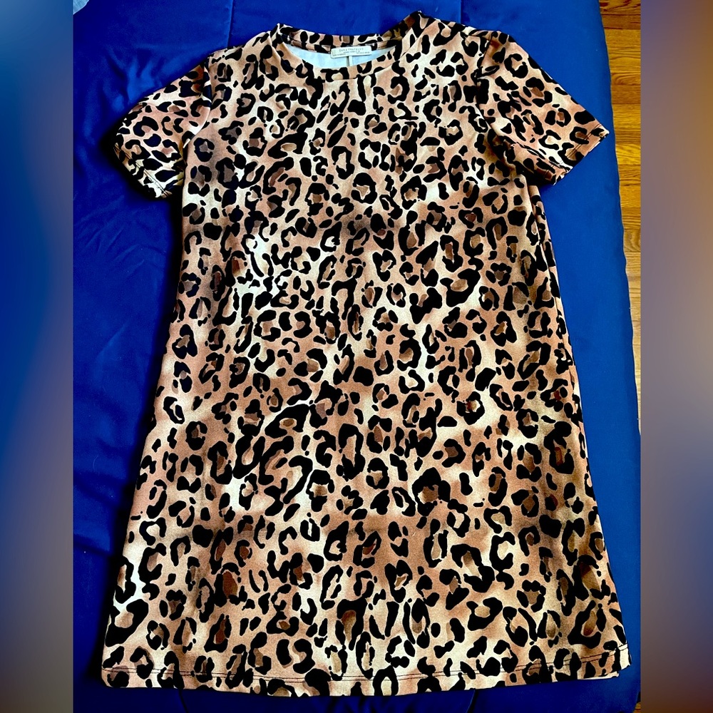 Leopard Zara Dress